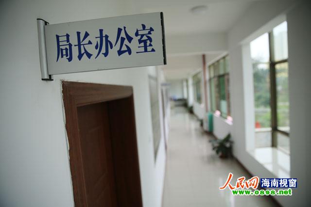 海口一局长被当街追债 局长请假全体干部脱岗-中新网