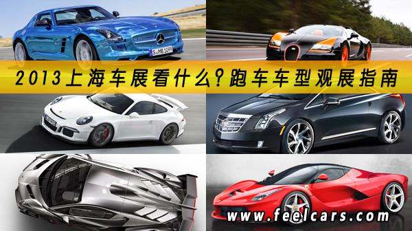 2013�Ϻ���չ��ʲô���ܳ����͹�չָ��