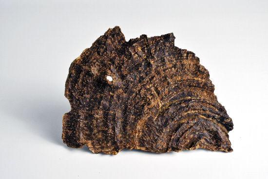 ���Ϻ����