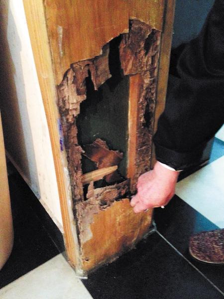 家白蚁,黄翅白蚁,山白蚁4种,侵蚀房屋的白蚁主要是家白蚁和黄翅白蚁