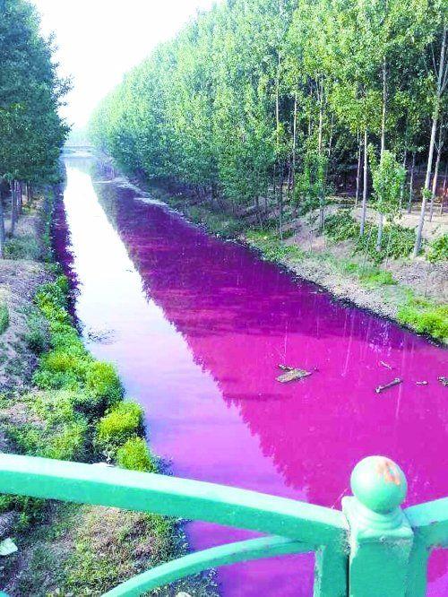 河南西孟姜女河变"血河" 疑企业倾倒废水所致