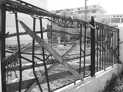 小区铁栅栏遭破坏 树枝临时被顶岗