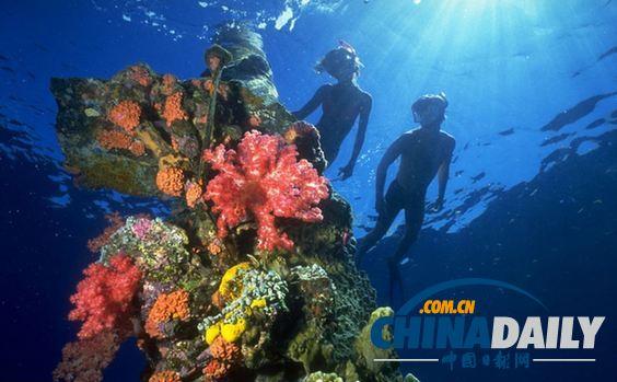 ̽��������󺣵�Ĺ�� ��ս�վ�ʬ���ڴ˳�˯