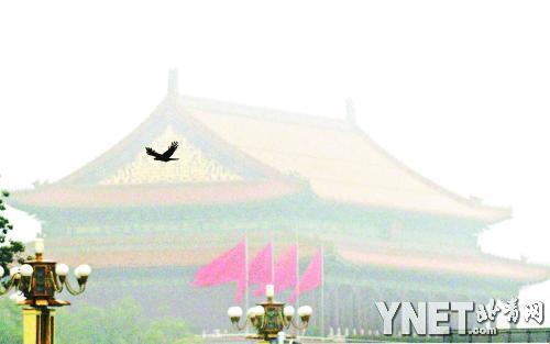 ���������쾩��һֱ����������֮����Ӱ/�������� ����