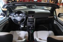 ��������˹��207CC 308CC