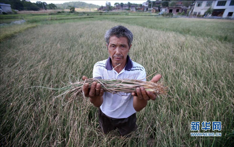 �����������ݾ��ֺ��� 53��������ˮ����[��ͼ]