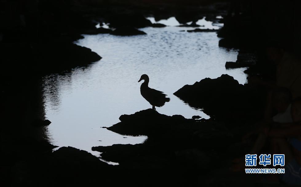 �����������ݾ��ֺ��� 53��������ˮ����[��ͼ]