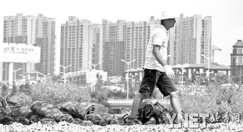 ��ɳ�������һ��¥�������ֳ���ͼ/�»�