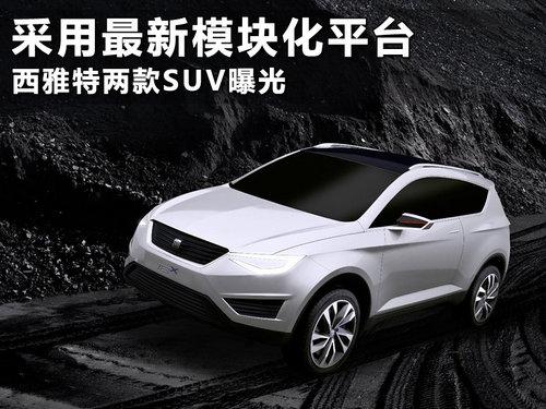 ��������ģ�黯ƽ̨ �������׿�SUV�ع�