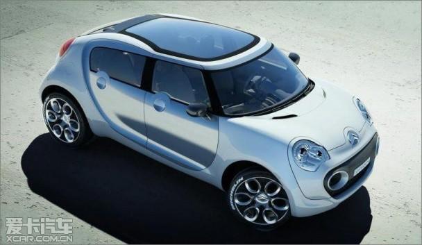 C-Cactus���