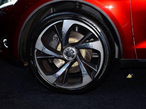 DS ѩ���������ڣ� DS wild rubis