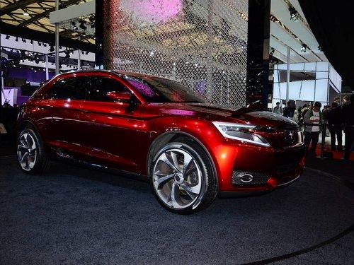 DS ѩ���������ڣ� DS wild rubis