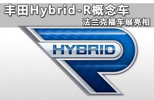 ����Hybrid-R��� �����˸���չ����