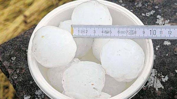 德国汉诺威天降冰雹 最大直径达8厘米2013年7月28日晚,德国汉诺威(Hannover)忽然天降冰雹,令人猝不及防。不仅如此,冰雹的个头十分硕大,最大的直径达到了8厘米。当天汉诺威的最高气温为30,天气晴朗,阳光刺眼。然而当晚17时左右,天空忽然变暗,紧接着下起了冰雹。由于事发突然,加之冰雹十分硕大,很多人被冰雹砸伤。另外,许多汽车的顶盖和玻璃,房屋的屋顶和窗户都被砸坏。据悉,每个从天而降的冰块大小都在5厘米左右,最大的直径达到了8厘米。这次冰雹共给汉诺威造成了数百万欧元的损失。