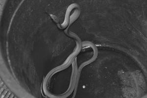 �������ֽ�С���ߴ�ס