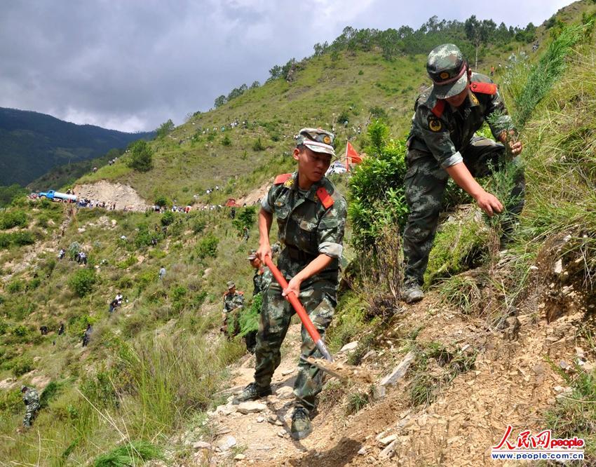 ����Э��