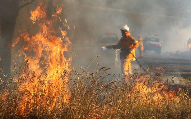 �ĸ����������� ���ֵ����¶ȼ��Ʊ�2013��1�£��Ĵ����Ǳ��������˰�����������´ﵽ40�棬����44�档������»�����ɽ�ִ�𣬵��¶���������ʧ�١��Ĵ�����ɽ����Ǽ������ӣ���������Ѿ�������ͼ���¶ȷ�Χ�Ӵ�ǰ�������¶�50���ϵ���55�档�ϰĲ���ƫԶ�������¶��Ѿ�������¶ȼƵ�����¶ȣ��ﵽ54�档ͬʱ��Ϥ������´ﵽ42�档�ڰĶ��ϲ�����˹�����ǣ����ڷ��ݱ�ɽ�����ɣ����Ƿ׷������԰����������100��ʧ�١���������ʿ��ũ�������־ֳ�ɳ�����ƴ�����˹(Shane Fitzsimmons)˵�������б���������������Ѿ��ǡ�����ˮƽ���ˡ�����Ȼ�������뿪��Щ�����ǰ�ȫ��ѡ�񡣱���ָ������������в�ȼ��������ص�������2013���ͷ6�죬��ȫ��ƽ�����¡��Ѿ������м�¼������20�졣