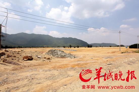 ▲已被填的养虾场