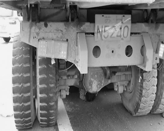 ���̳����ر���Ů���공��ˣ�� ����Ҫ�����ҾͲ�����