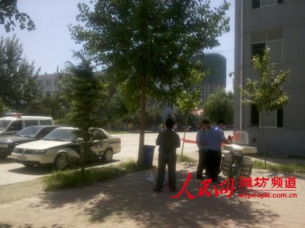 ���ڲ鿴׹¥�ֳ�