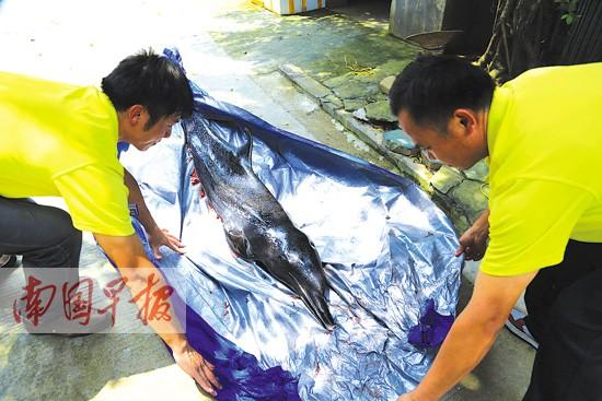 ��ǳ���ྐྵ��Χ�ۺ�Ӱ��Сʱ ��ȫ�����δ�����