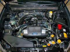 ˹��³������ذ��Ż�2.5��Ԫ �����ֳ�