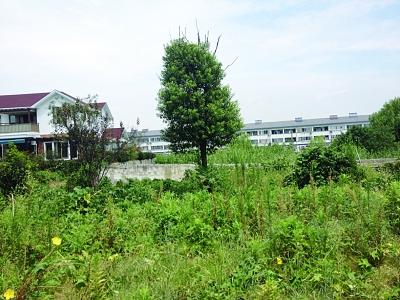 高档别墅7年还没办到房产证 50个业主买了个心病