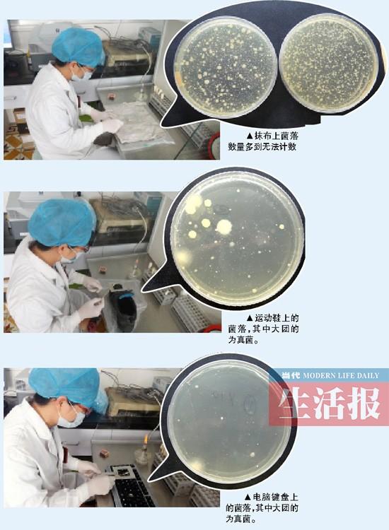 实验显示:抹布细菌最多 鞋上真菌是键盘两倍(图)