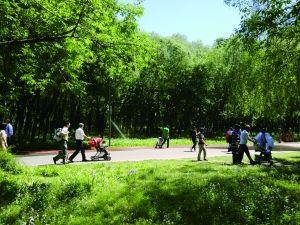 �����ڰ���ƥ��ɭ�ֹ�԰��������ɫ����������� ��Ρ/��