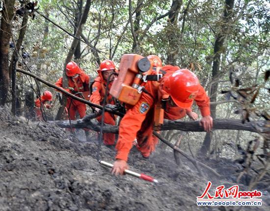 ɭ���ٱ��˷����ּ�������