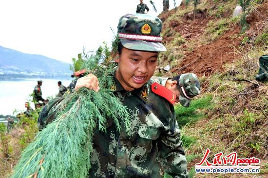 �����ڶ�����ɭ���ٱ����ж�