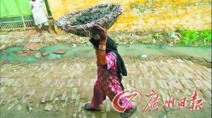 ӡ�������Ͻ�ͽ���Է� �������6����û����