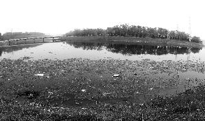 ������ҳ���ʪ�ع�԰����ϯ��Ӱ���� �̴���/��