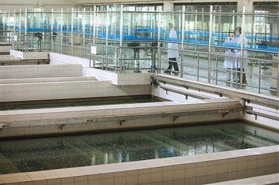 ������Ͷ������ʽ���������ˮ����ά�޹��̣����𲽸���һЩ�ɹܵ����¾������� Ѧ�B ��