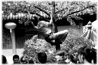 媒体盘点游客不文明行为:扔垃圾翻墙头乱方便(图)