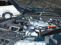 ��ĩ�о�ϲ ��������������ʥ���к���