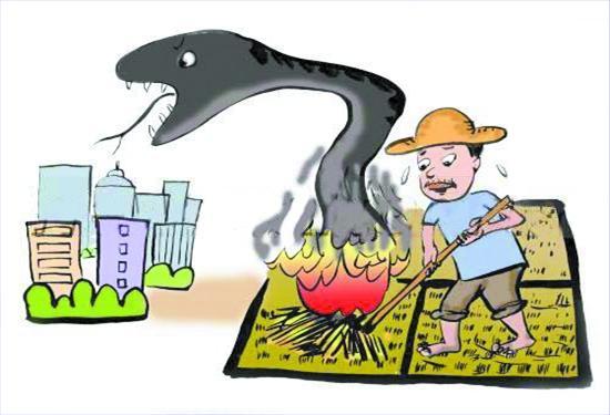 烧秸秆屡禁难止 基层干部称"乡长到现场也管不了"