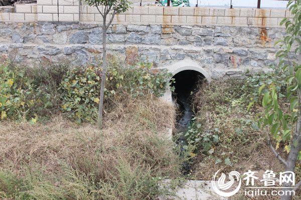 ����ǽ�����ۿڣ������������ŷ���ˮ_����