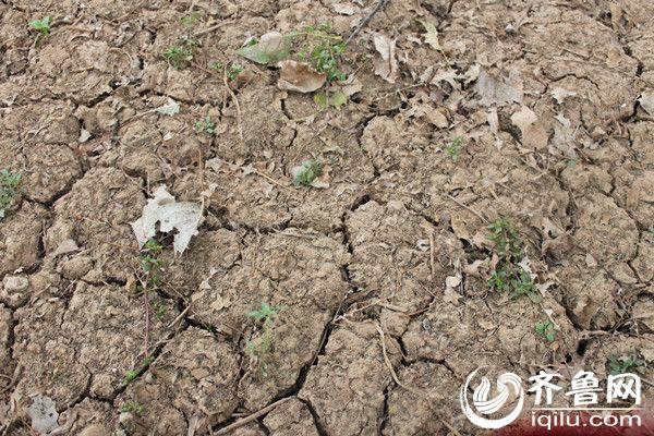 �����������ɺ�������û������ѡ��ֻ������ˮ����_����