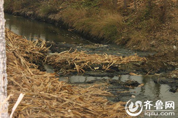 ��ҵ��ˮͨ��һ��������۵�һ�������_����