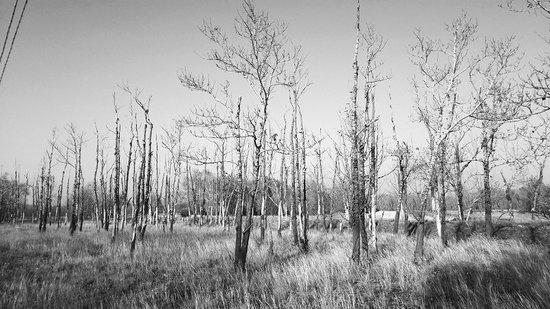 �żҿڰ������������ִ�������� �ɺ�ϵ����