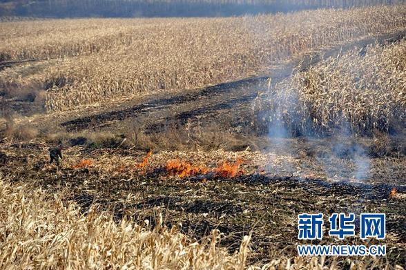 (����)(1)ר�����ѣ����սոѻ�����