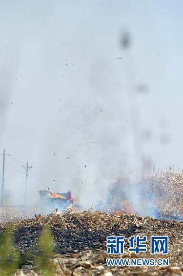 (����)(2)ר�����ѣ����սոѻ�����