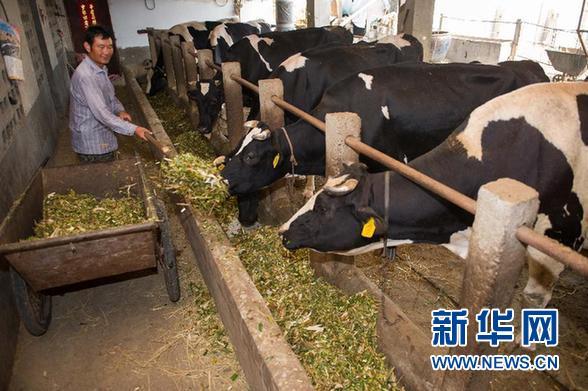 (�߻��� ������)(5)������������Ƶ�� �ոѷ��պ�ʱ��ֹ