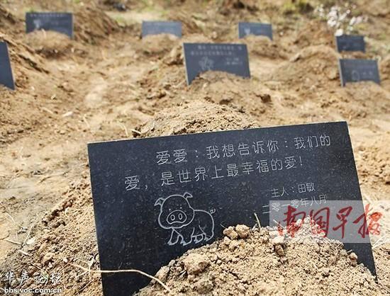 ����һ������������