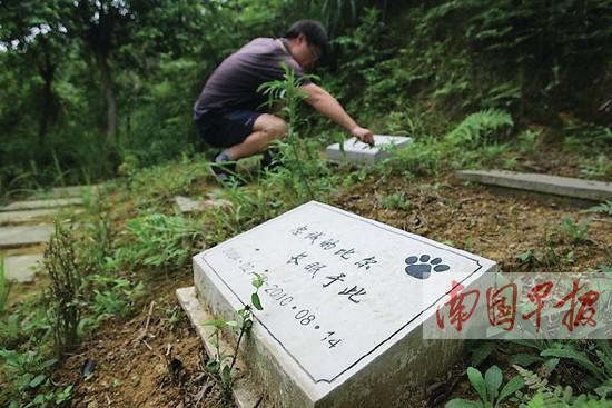 ����һ������������