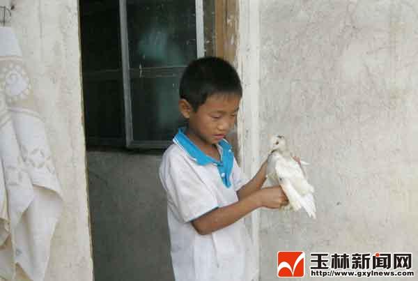 ���־����к� �����չ������м����˵��ص�(ͼ)