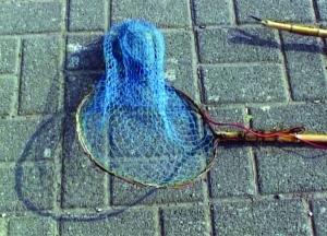 电鱼的工具.市民提供