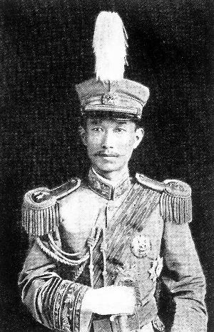 战史今日11月8日:名将蔡锷病逝