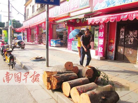 2009���������ϰ���������400��õ�·�������ƻ�